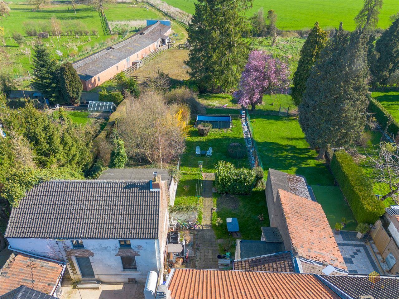 Image 22 : Maison à 4317 LES WALEFFES (Belgique) - Prix 315.000 &euro;