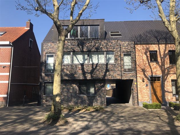 Dak appartement te 2990 Wuustwezel (België) - Prijs € 695