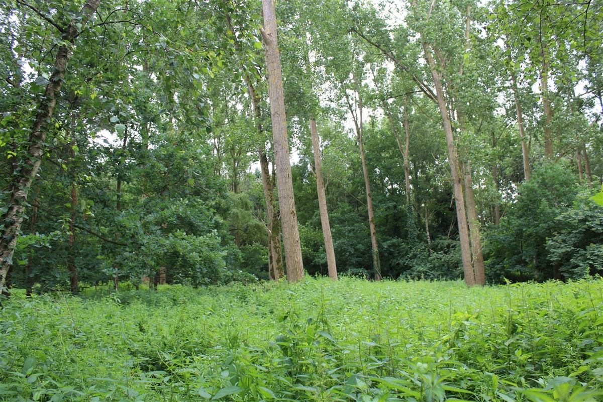 Foto 1 : Grond te 2930 BRASSCHAAT (België) - Prijs € 45.000