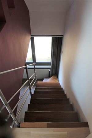 Foto 11 : Huis te 2930 BRASSCHAAT (België) - Prijs &euro; 1.450