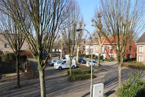 Foto 15 : Huis te 2930 BRASSCHAAT (België) - Prijs &euro; 1.450