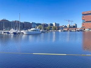 Foto 8 : Appartement te 2000 Antwerpen (België) - Prijs &euro; 895