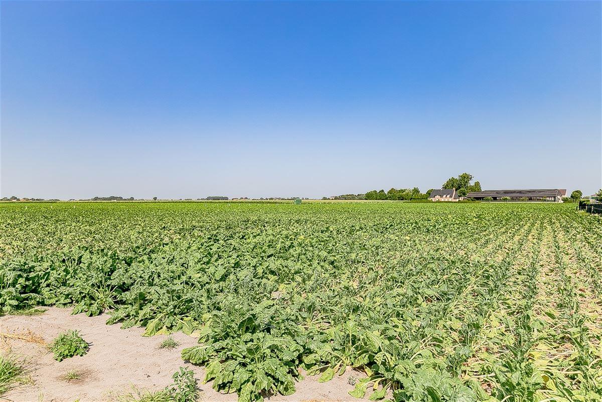 Huis in Gistel - foto 16