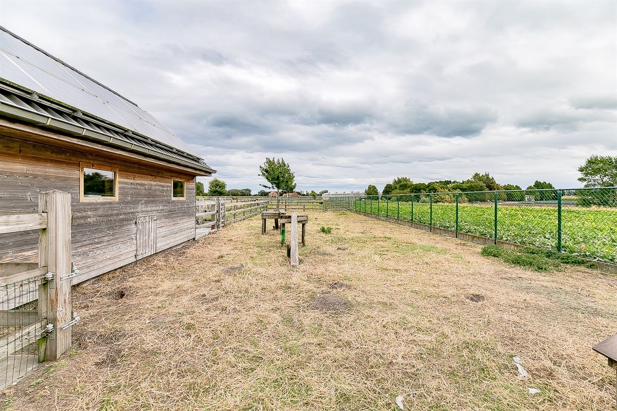 Huis in Koekelare - foto 14