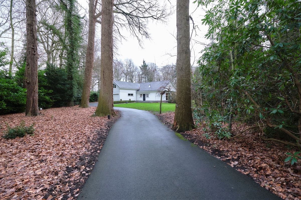 Villa in Jabbeke - foto 18