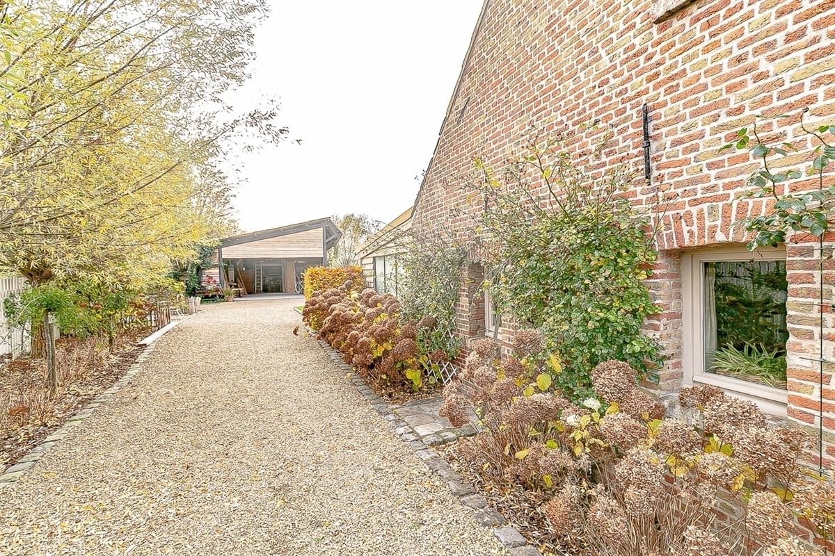 Villa in Zuienkerke - foto 29