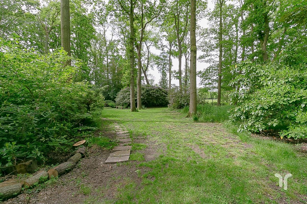 Huis in Koekelare - foto 4