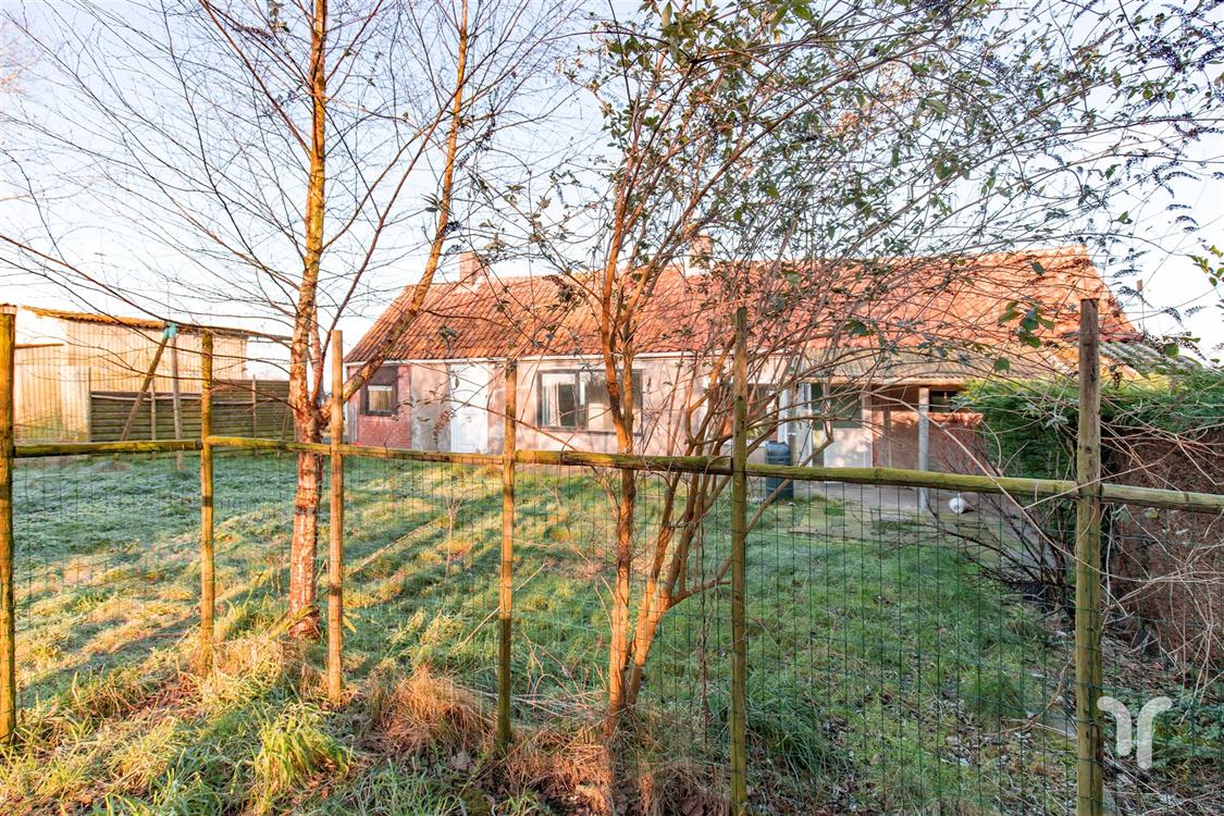 Huis in Jabbeke - foto 7