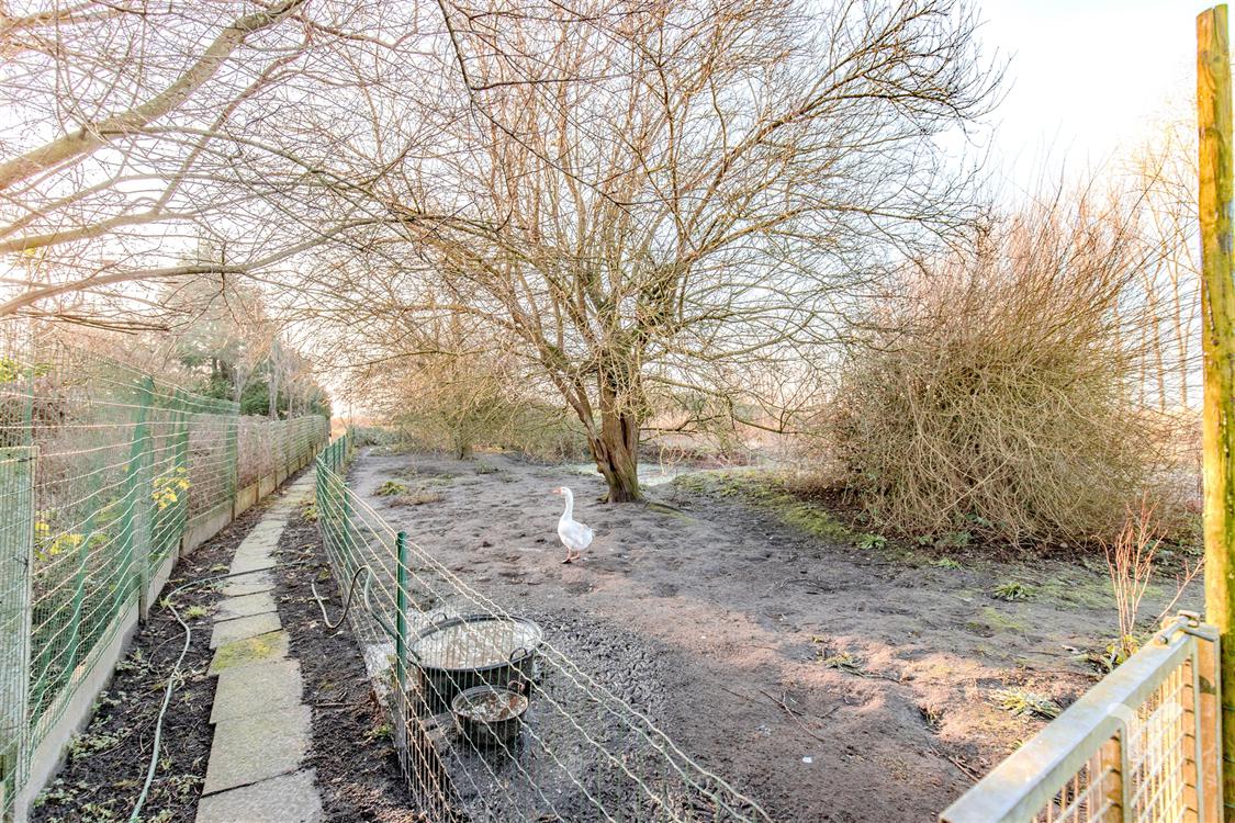 Bouwgrond in Jabbeke - foto 8