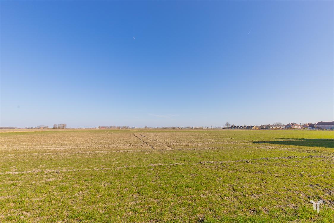 Huis in Adinkerke - foto 19