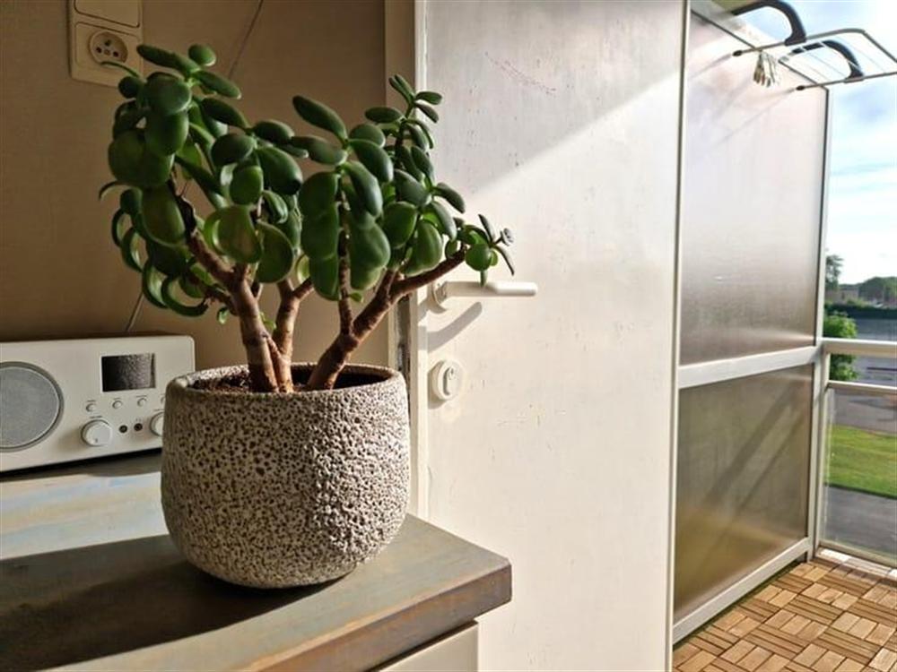 Appartement in De Haan - foto 10