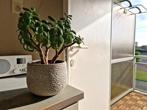 Appartement in De Haan