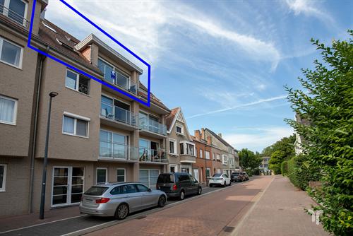 Duplex/Penthouse
