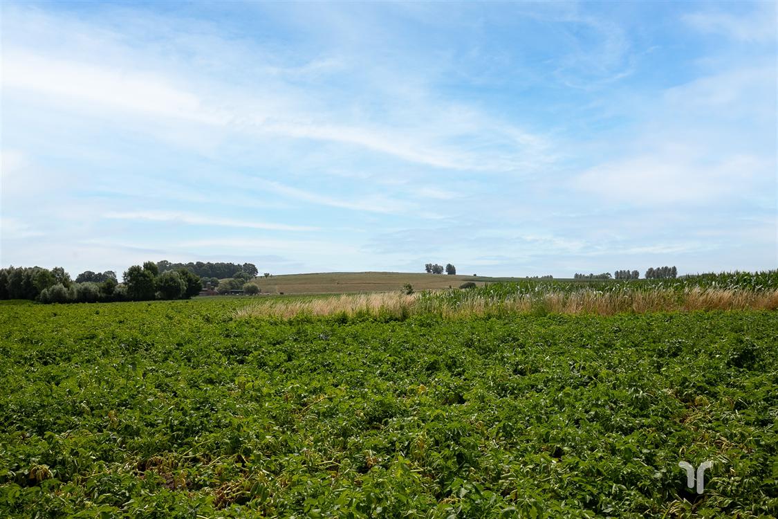 Huis in Koekelare - foto 14