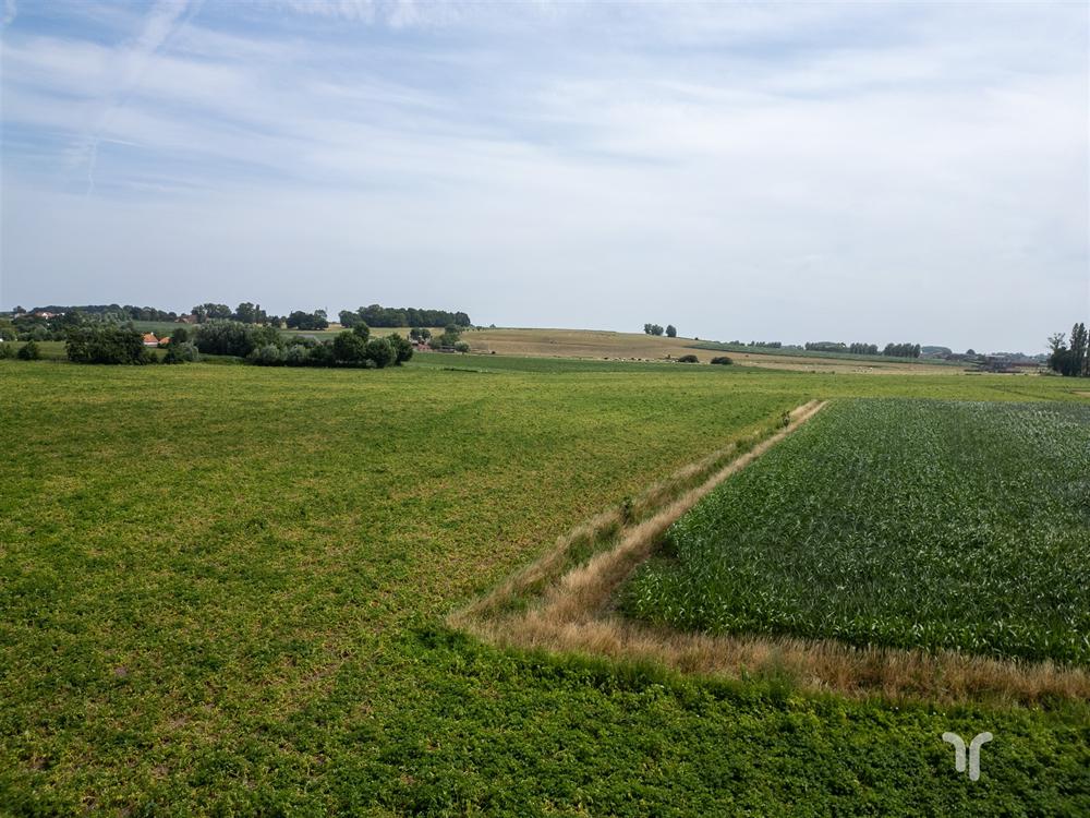 Huis in Koekelare - foto 13