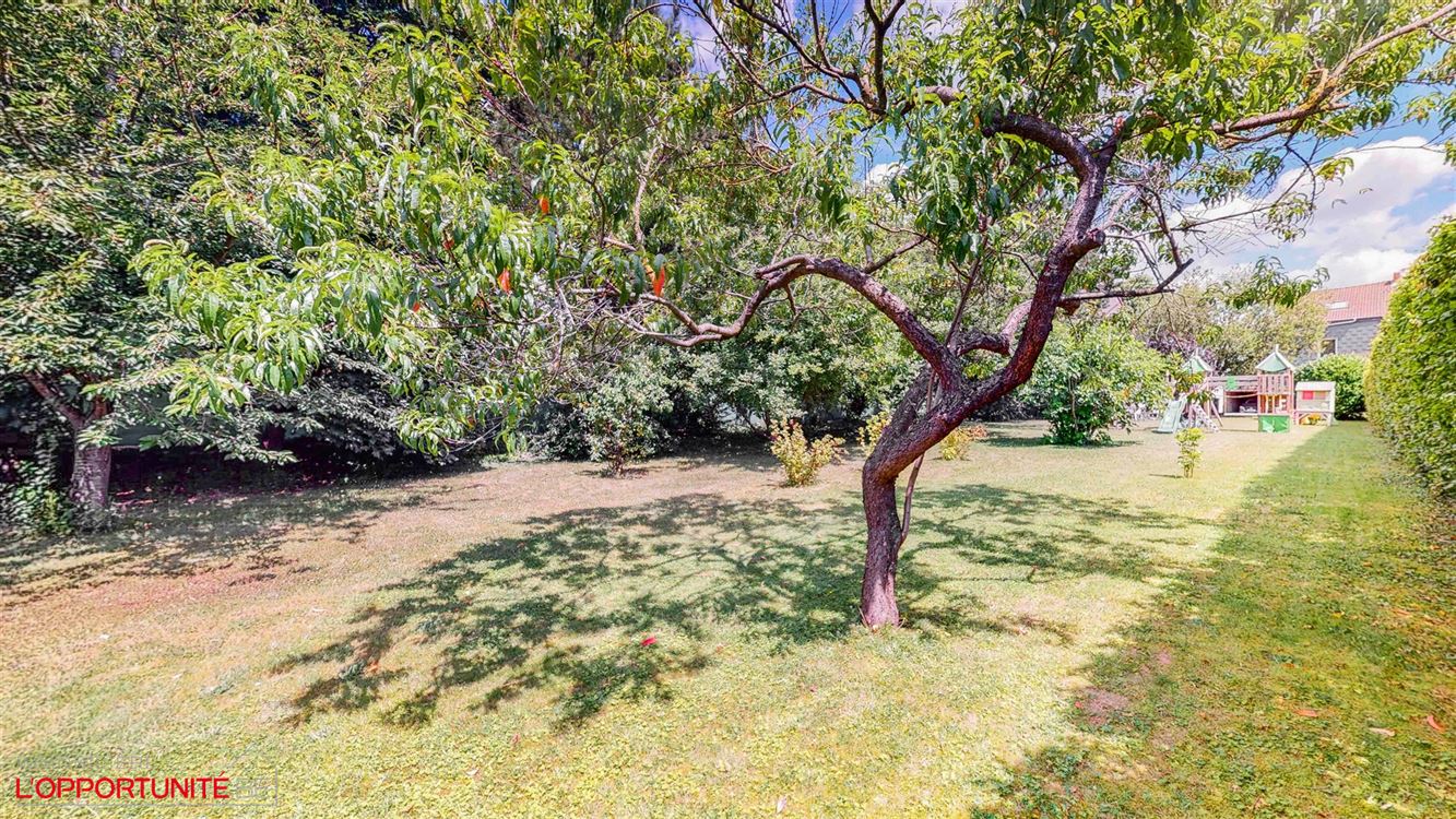 Magnifique maison 3 facades rénovée, 4 chambres, garage, grand jardin.