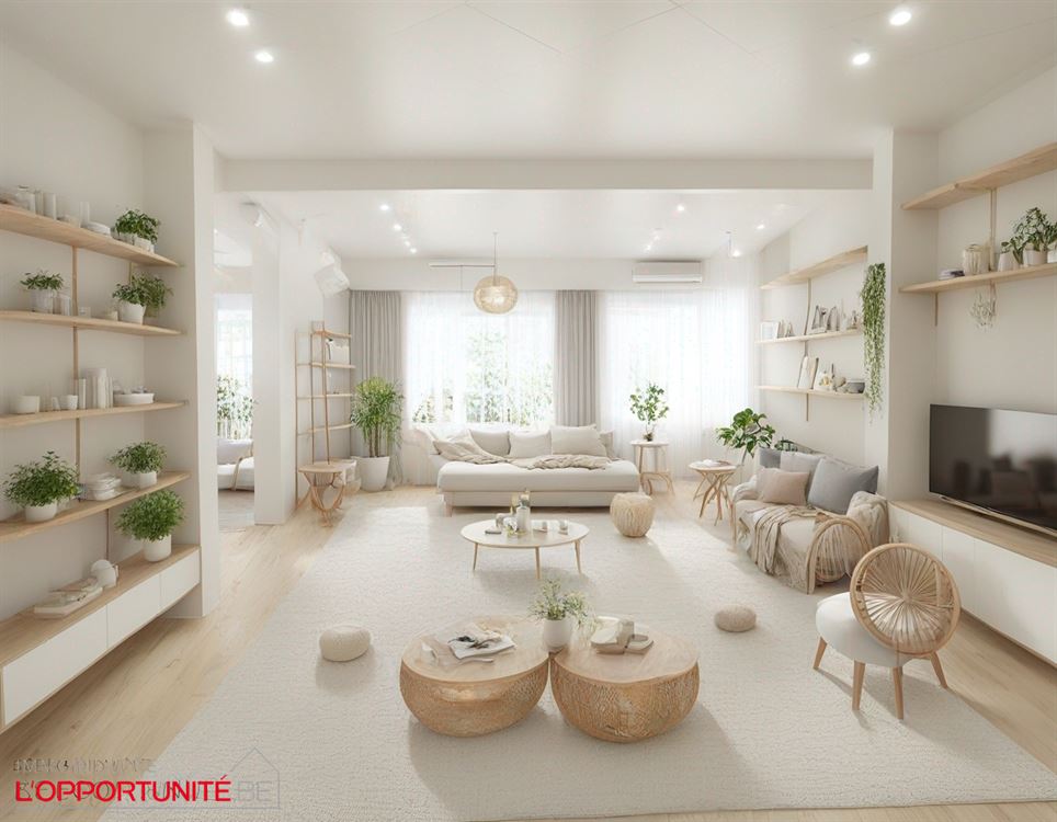 Bel immeuble mixte avec rdc commercial, appartement à l'étage et 3 garages.