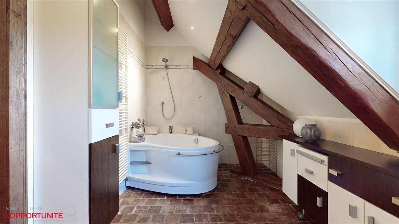 Propriété exceptionnelle (1999) sur 19 ares de terrain, 5 chambres, espace pro avec entrée séparée et jacuzzi.