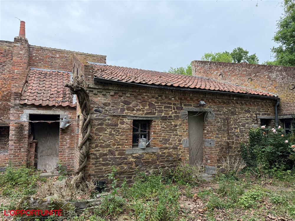 Propriété exceptionnelle du 18ème siècle totalement à rénover composée d'une maison principale, d'une maison secondaire, d'un théatre magnifique de 240m² et d'un grand jardin.