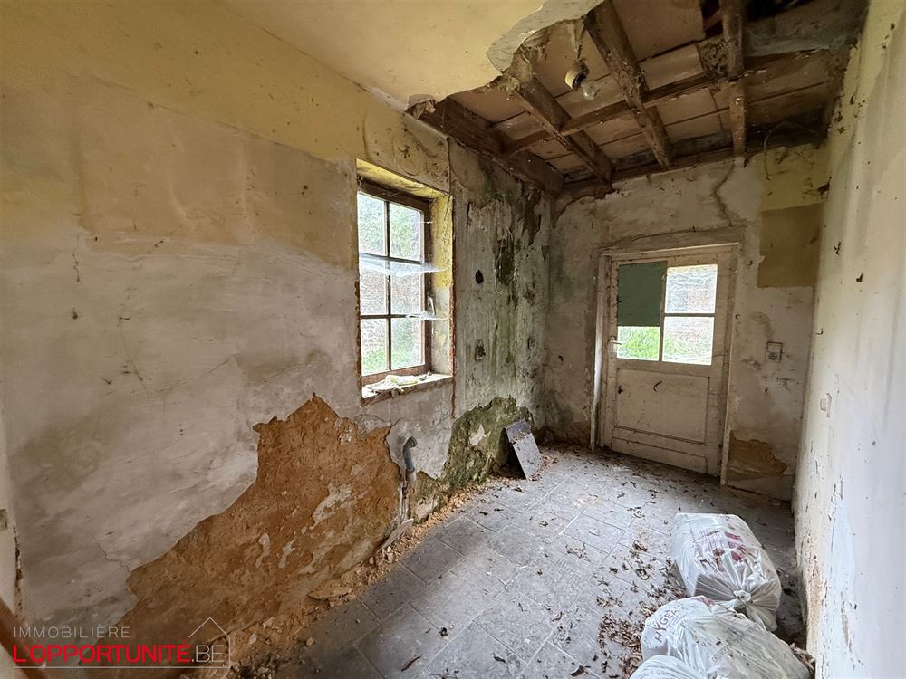 Propriété exceptionnelle du 18ème siècle totalement à rénover composée d'une maison principale, d'une maison secondaire, d'un théatre magnifique de 240m² et d'un grand jardin.