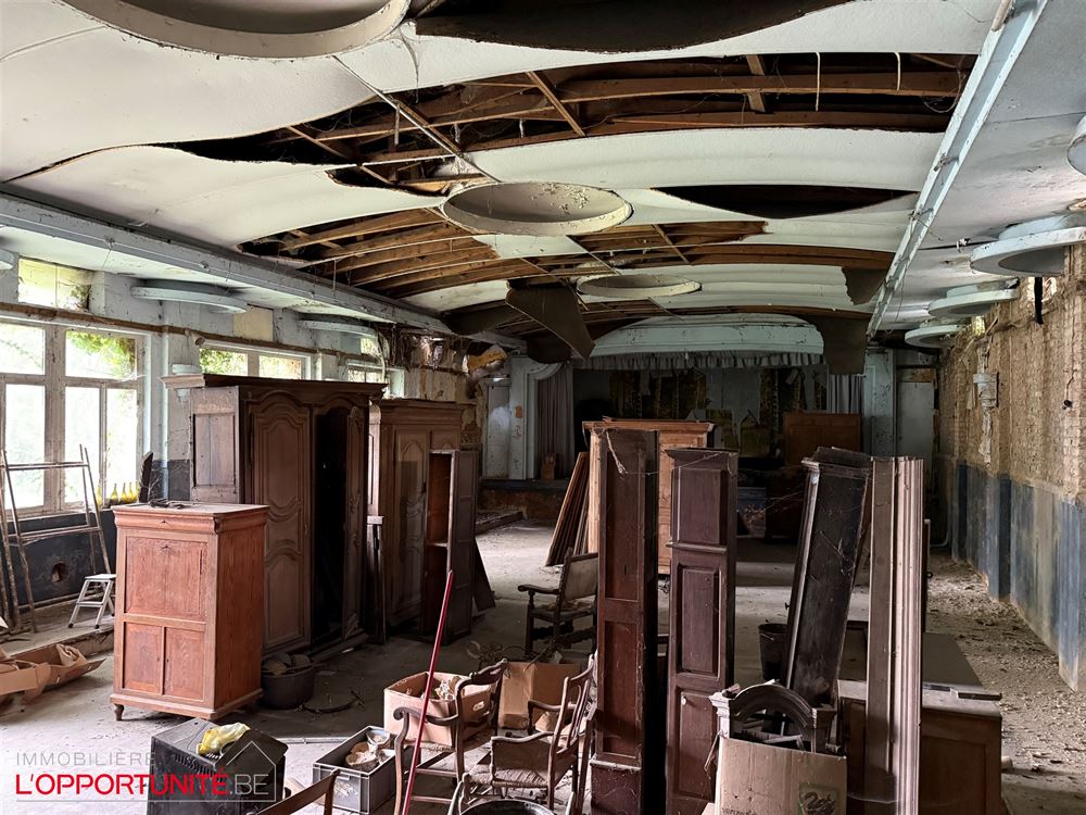 Propriété exceptionnelle du 18ème siècle totalement à rénover composée d'une maison principale, d'une maison secondaire, d'un théatre magnifique de 240m² et d'un grand jardin.