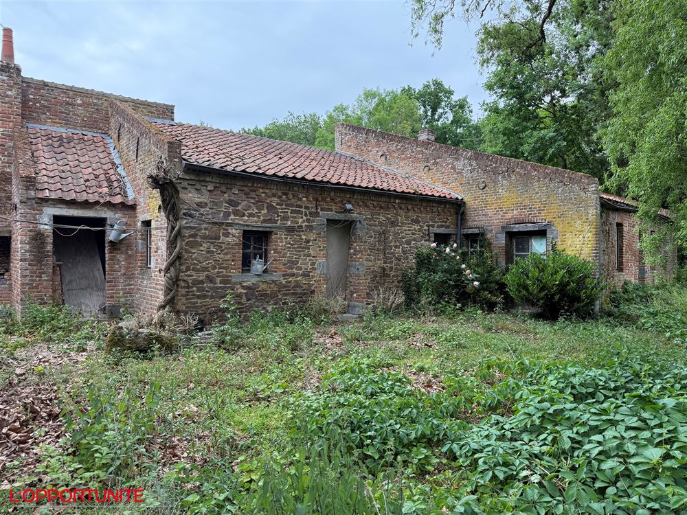 Propriété exceptionnelle du 18ème siècle totalement à rénover composée d'une maison principale, d'une maison secondaire, d'un théatre magnifique de 240m² et d'un grand jardin.