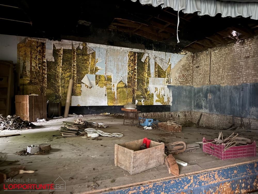 Propriété exceptionnelle du 18ème siècle totalement à rénover composée d'une maison principale, d'une maison secondaire, d'un théatre magnifique de 240m² et d'un grand jardin.