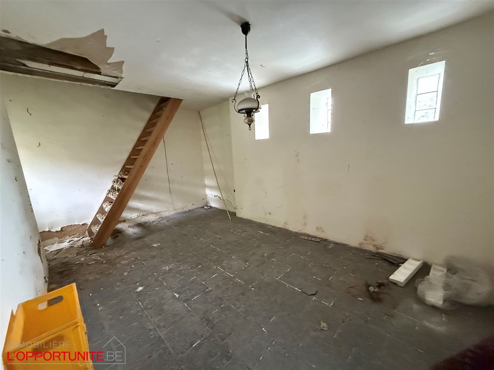 Propriété exceptionnelle du 18ème siècle totalement à rénover composée d'une maison principale, d'une maison secondaire, d'un théatre magnifique de 240m² et d'un grand jardin.