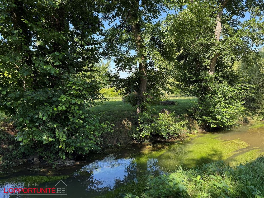 Exceptionnel terrain de 11,50 ares. Orientation SUD.