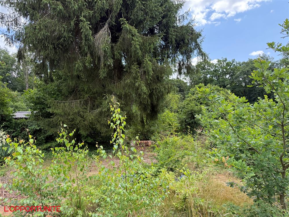 Splendide habitation de vacances type caravane, deux chambres, terrasse, jardin, possibilité d'acquerir en sus un terrain + autre caravane, voir photos apd de la num 13.
