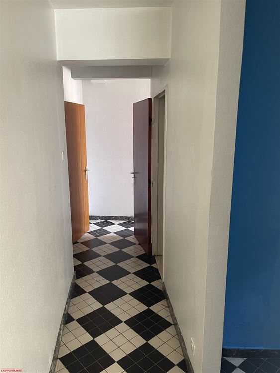 Grand et lumineux Appartement à rénover entièrement 