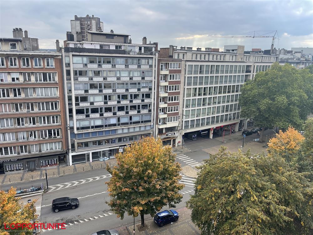 Grand et lumineux Appartement à rénover entièrement 