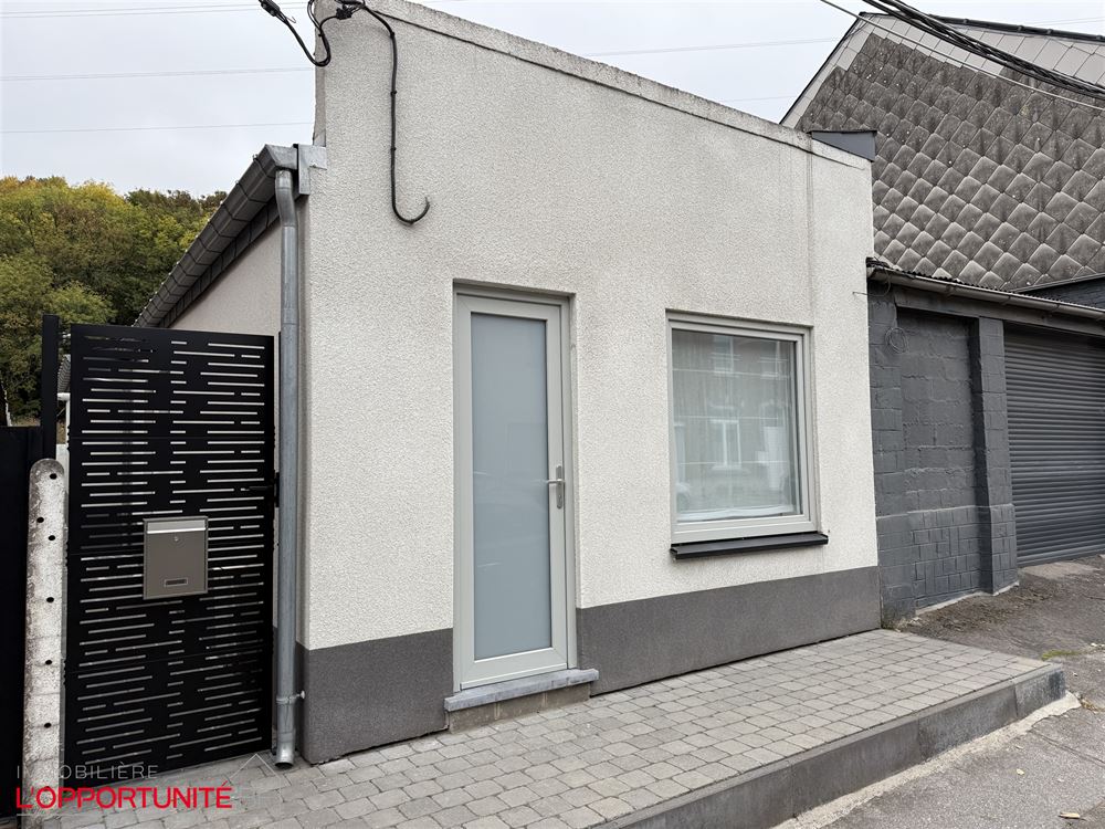 RARE maison une chambre, 4 façades de plain pied totalement renovée avec passage lateral privatif et jardin.