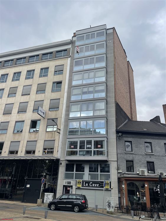 Grand et lumineux Appartement à rénover entièrement 