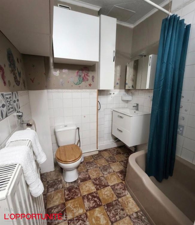 Belle maison 6 ch, 2 adresses, 2 garages, 2 parking, jardin