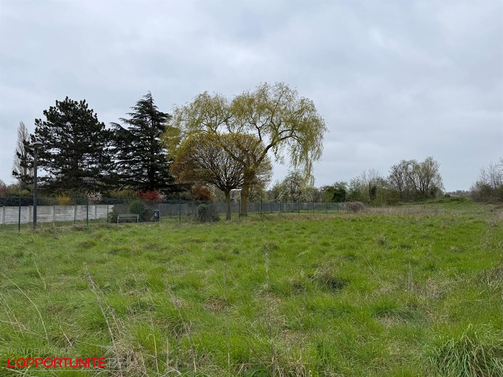 Magnifique terrain orientation SUD de +/- 8ares.