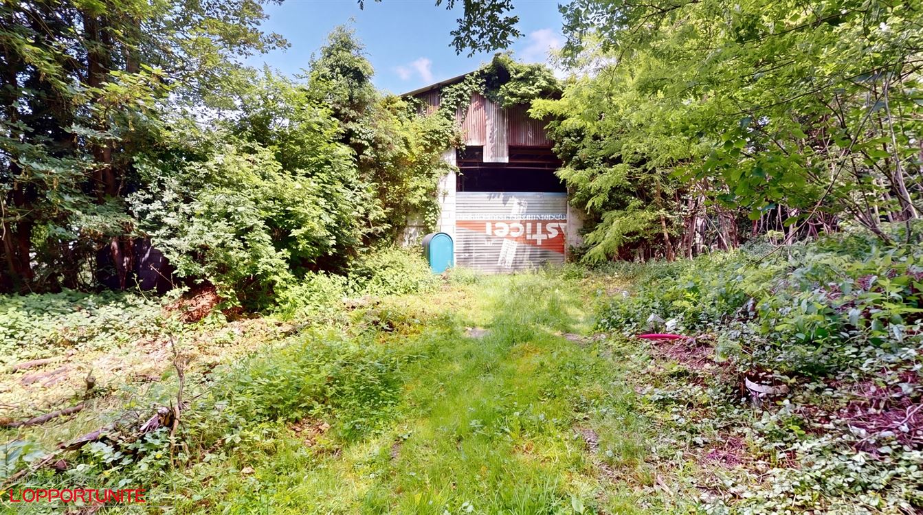 Exceptionnelle propriété composée de deux maisons, un entrepot de 500m² et un magnifique jardin.