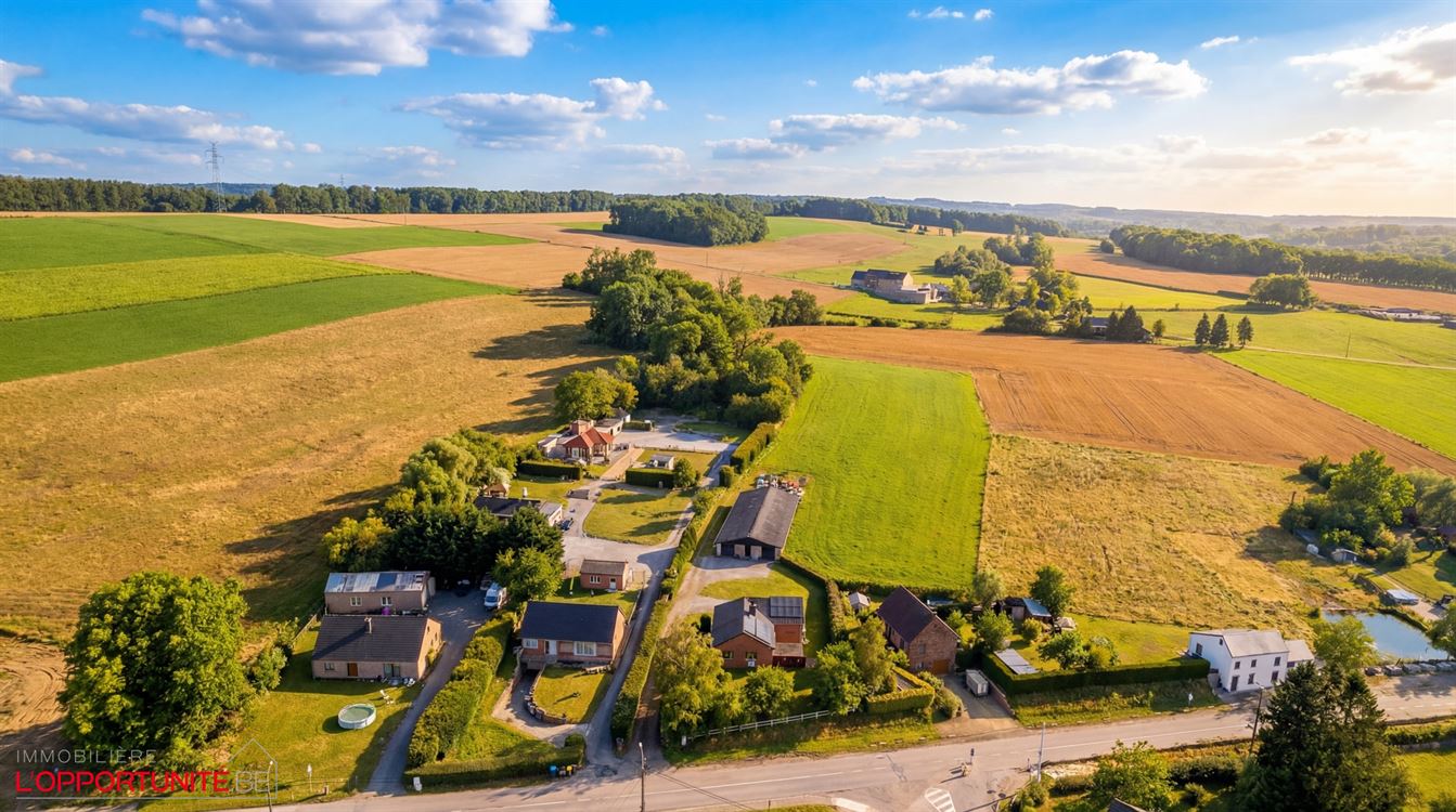 villa de plain pied + Entrpôt + terrain agricole
