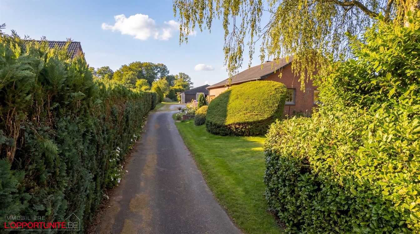 villa de plain pied + Entrpôt + terrain agricole