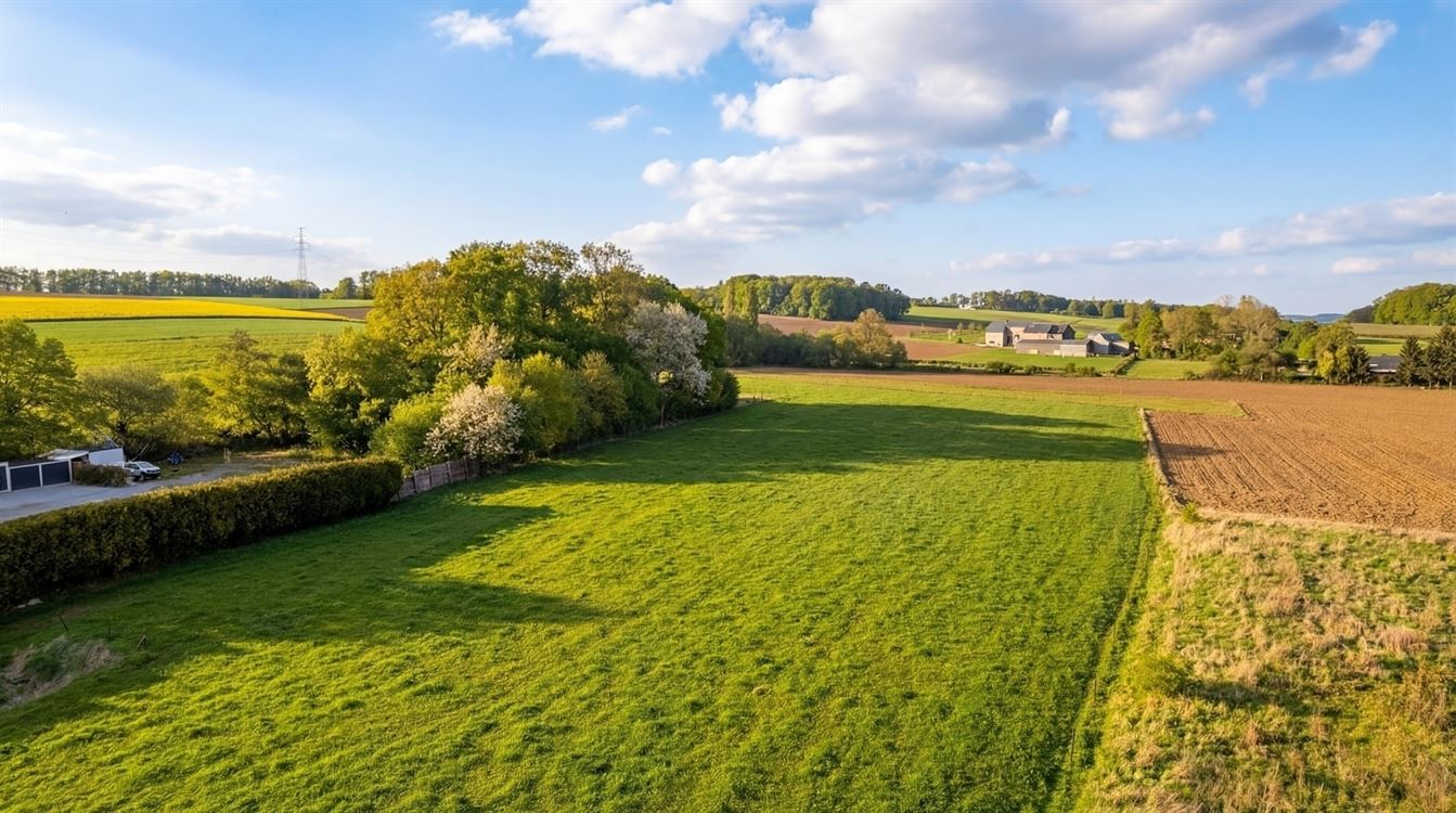 Villa de plain pied + Entrepôt + terrain agricole