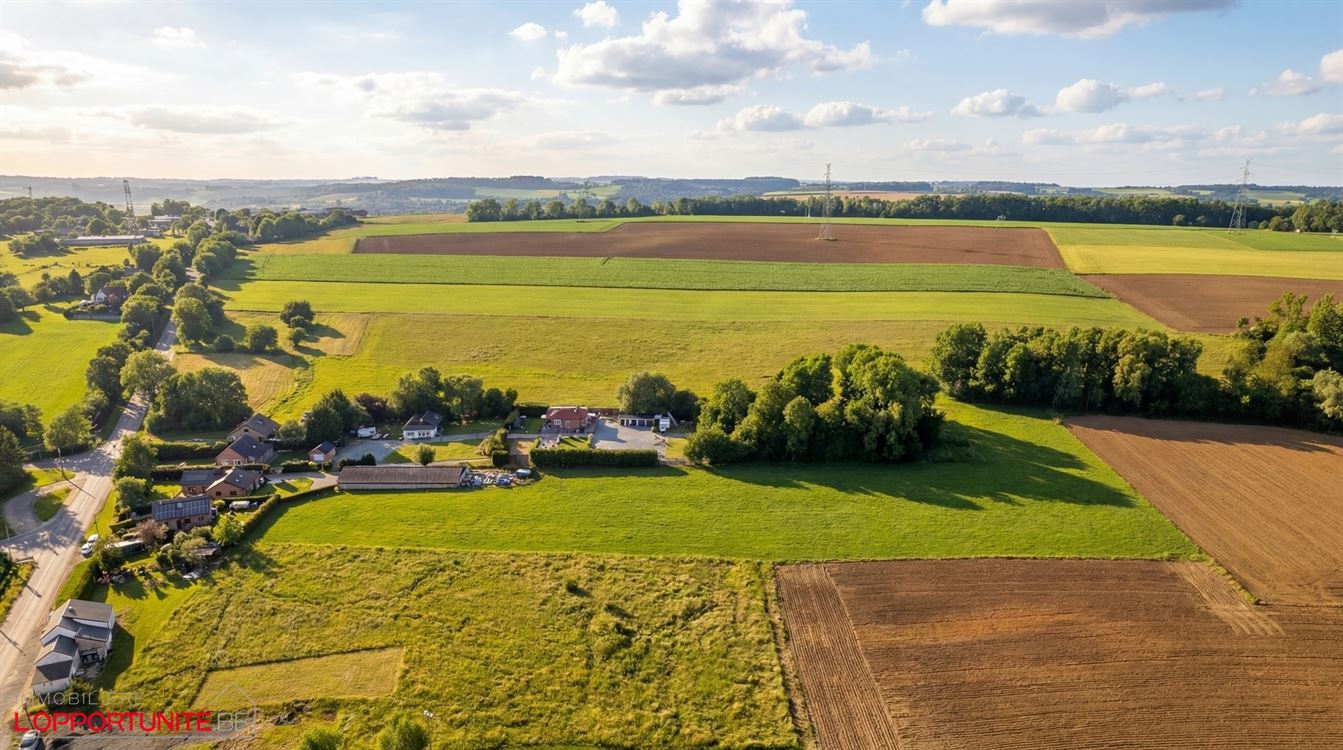 villa de plain pied + Entrpôt + terrain agricole
