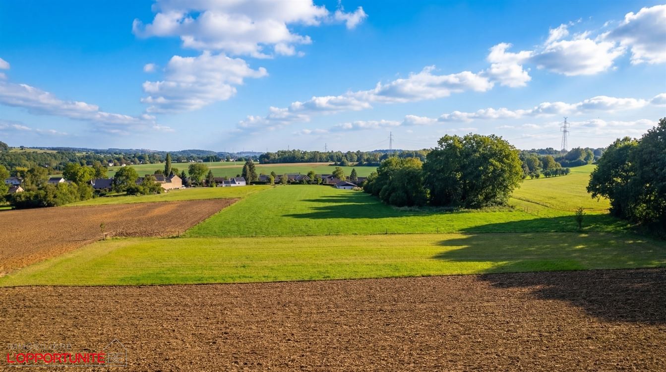 villa de plain pied + Entrpôt + terrain agricole