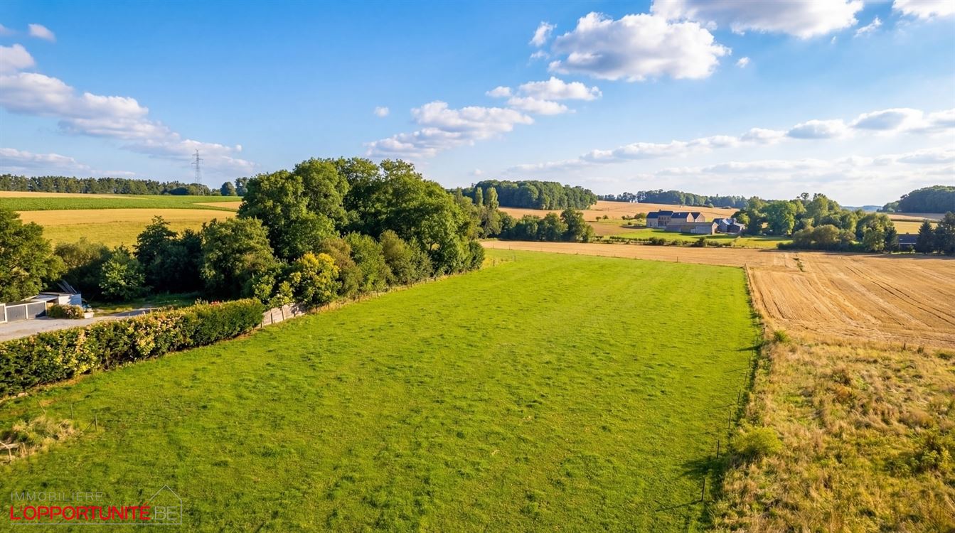 villa de plain pied + Entrpôt + terrain agricole
