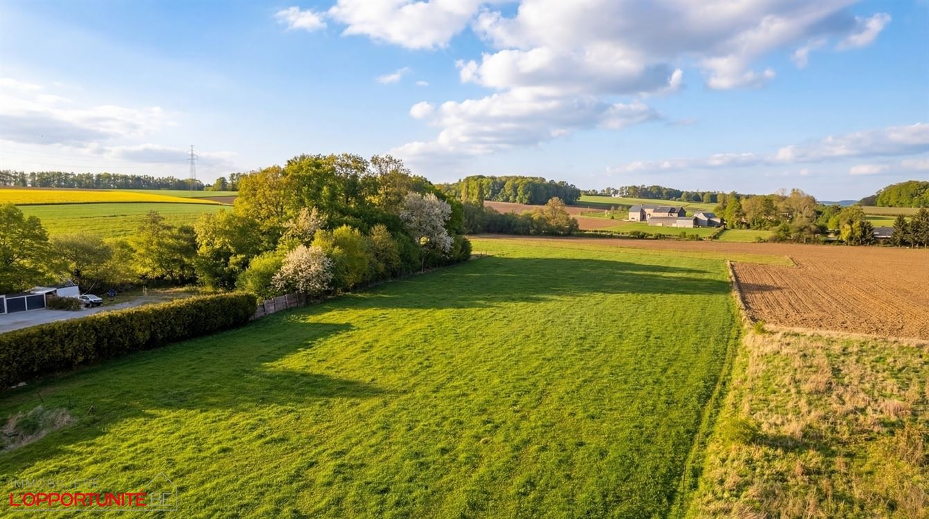 villa de plain pied + Entrpôt + terrain agricole