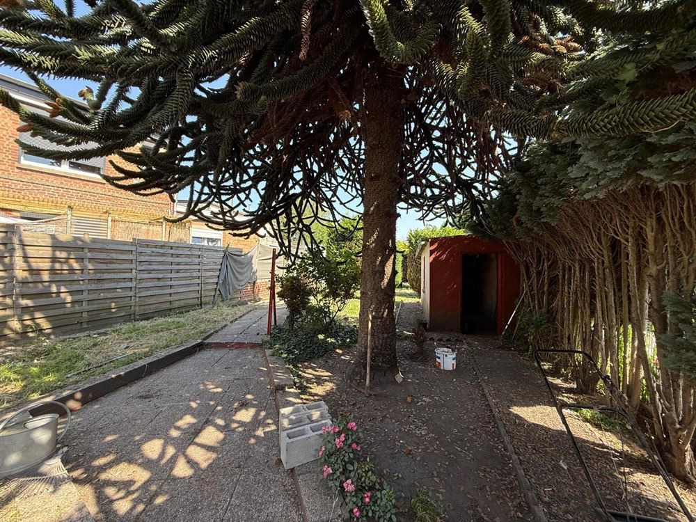 Belle maison à renover, 3 chambres et jardin.