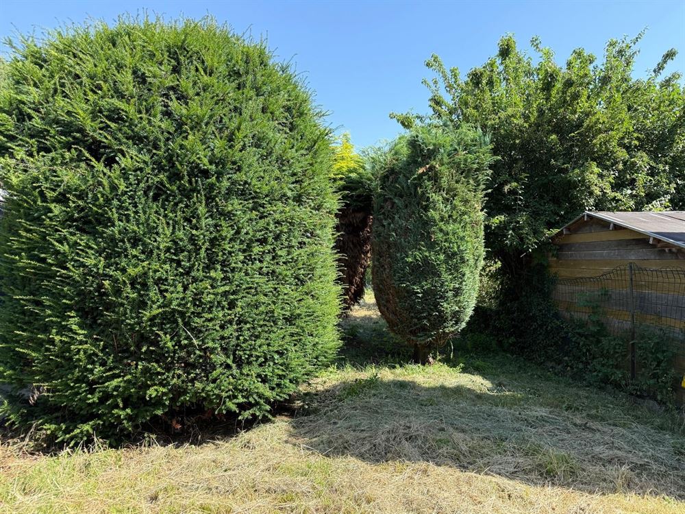 Belle maison à renover, 3 chambres et jardin.