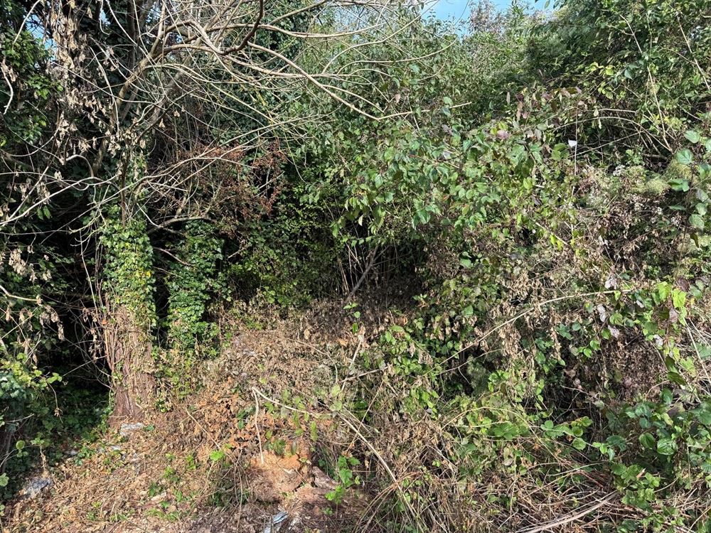 habitation