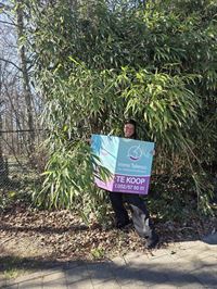 Foto 2 : Bouwgrond te 9255 BUGGENHOUT (België) - Prijs &euro; 390.000