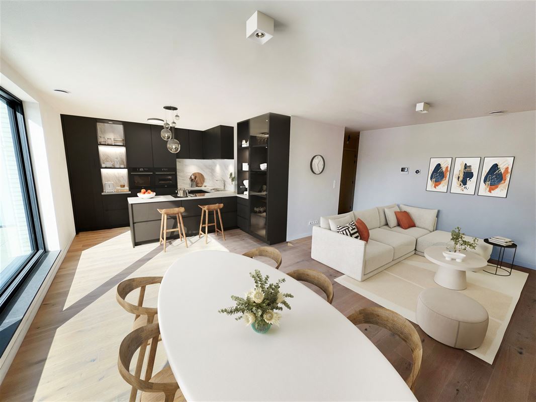 KLEINESTEENWEG 53 BEGIJNENDIJK 1.1