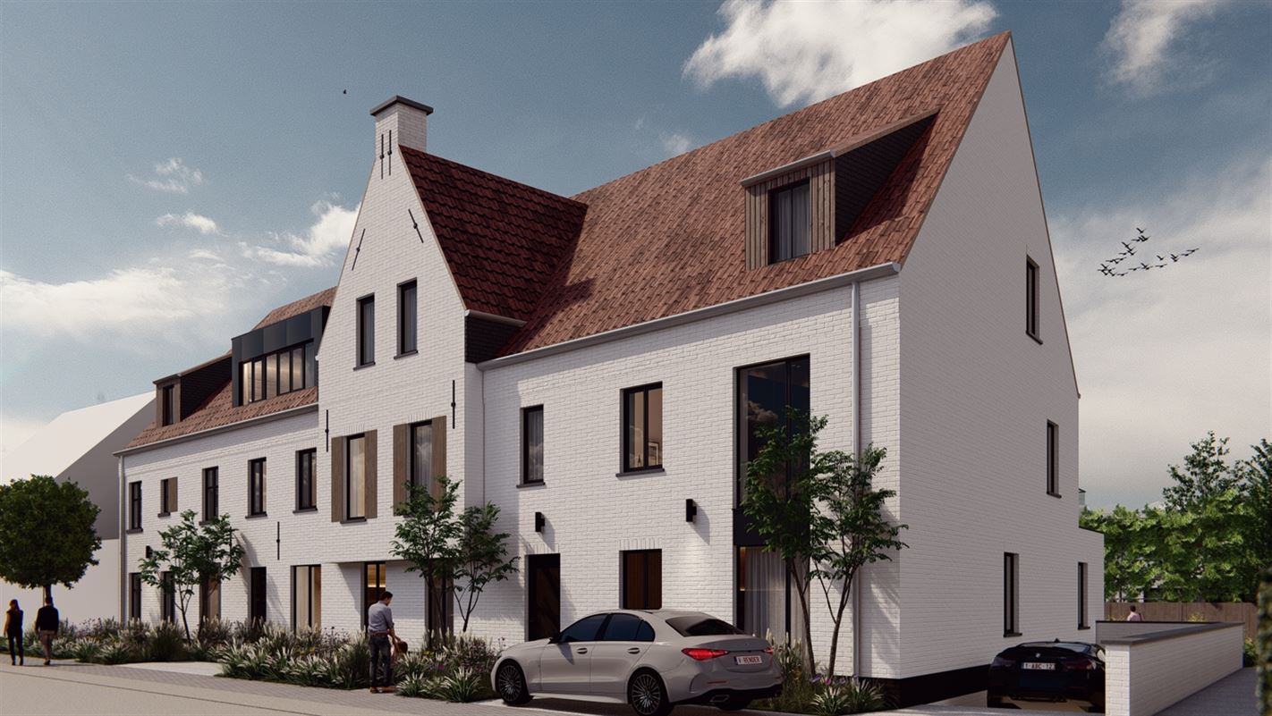 KLEINESTEENWEG 53 BEGIJNENDIJK 0.3